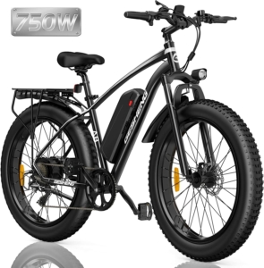 Electric Bike for Adults Max Speed 45KMH with 48V 15AH Lithium Battery Ebike