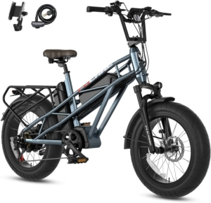 FUCARE Gemini 750W Electric Bike 电动自行车