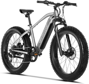 VELOWAVE Electric Bike Adults 750W 电动自行车