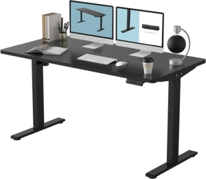 Flexispot 站立式办公桌 FLEXISPOT EN1 Standing Desk